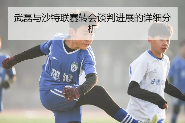 武磊与沙特联赛转会谈判进展的详细分析